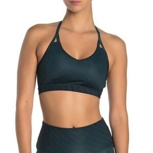 AR-33 Zion sports bra